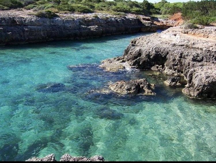 Villa Giovanna Villanova di Ostuni Buitenkant foto